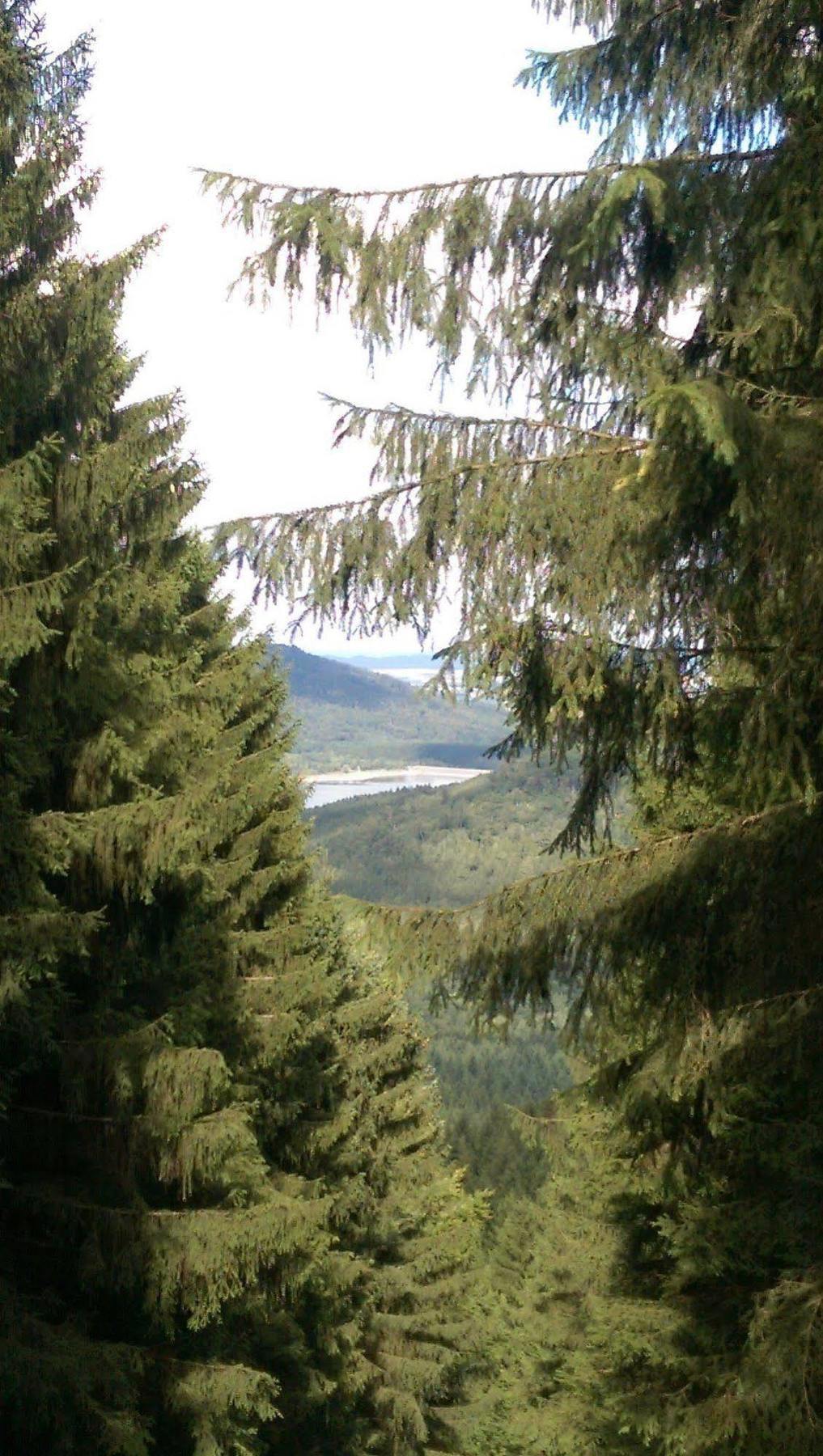 Hotel Berghof Am See Lautenthal Exteriér fotografie